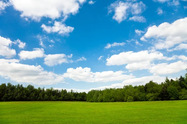 Bellissimo campo verde e cielo blu — Foto Stock