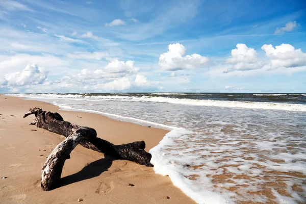 Strandlandschap — Stockfoto