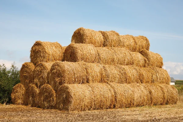 Stack of hay bales — Stock Photo, Image