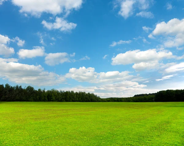 美丽的绿地和蓝天 — 图库照片