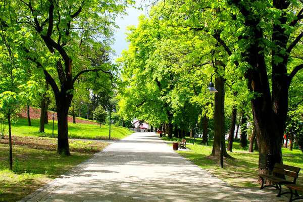 Peaceful park in spring