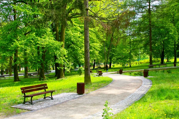 Beautiful park — Stock Photo, Image