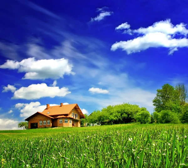Nueva imaginación de la casa en pradera verde — Foto de Stock