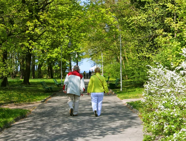 Starszy para spaceru w parku — Zdjęcie stockowe
