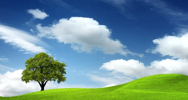 Green landscape Royalty Free Stock Images