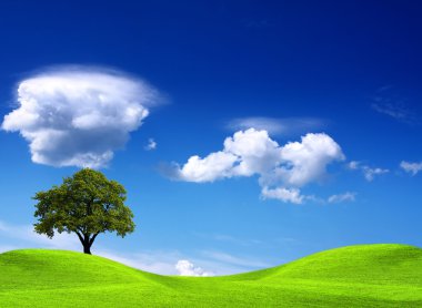 Tree on green field clipart