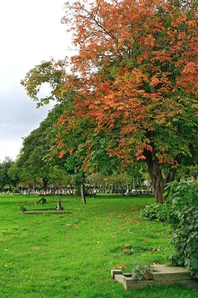 Höstens kyrkogård — Stockfoto