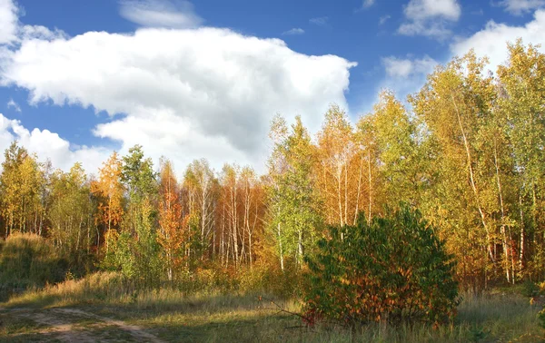 Bela paisagem de outono colorido — Fotografia de Stock