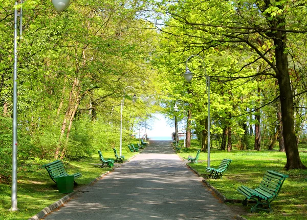 Green park — Stock Photo, Image