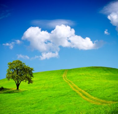 Green fields, sky with clouds clipart