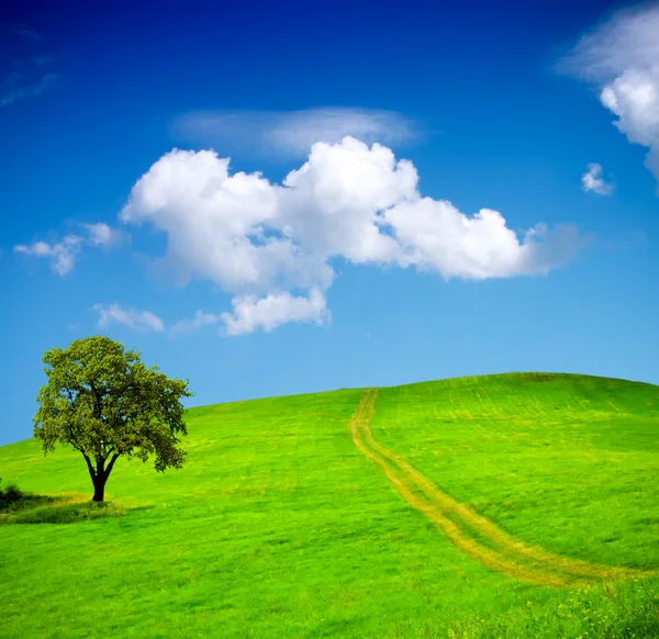 Grüne Felder, Himmel mit Wolken — Stockfoto