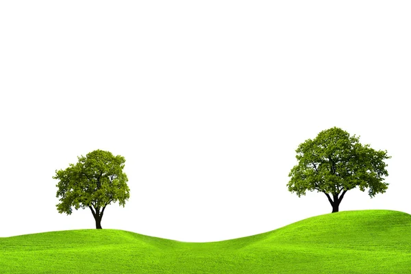 Duby v zeleném poli — Stock fotografie