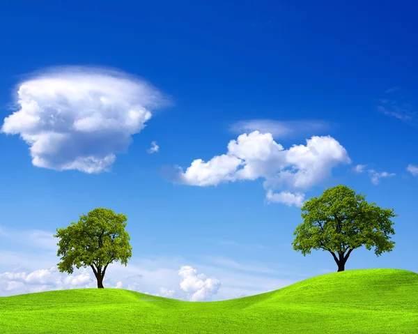 Весняний пейзаж на блакитному небі — стокове фото