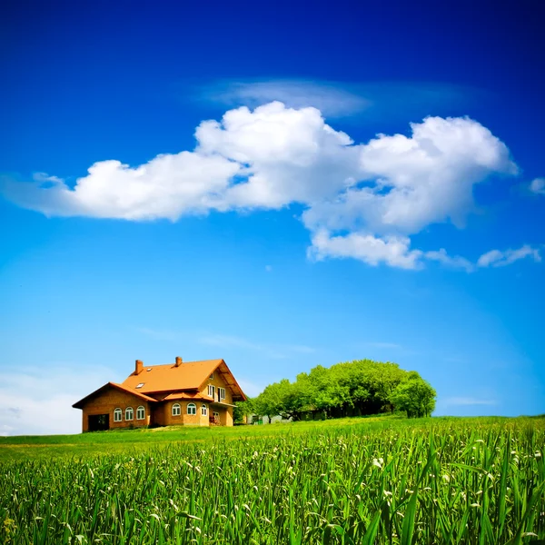 Huis op groene veld — Stockfoto