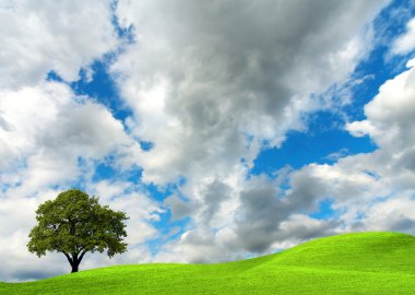 Oak tree on cloudy sky clipart