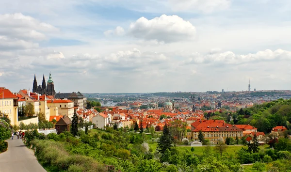Kırmızı çatılar, Prag panorama — Stok fotoğraf