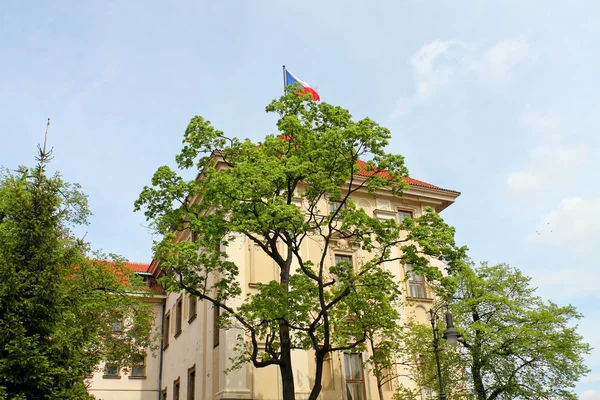 Történelmi épület, zászló — Stock Fotó