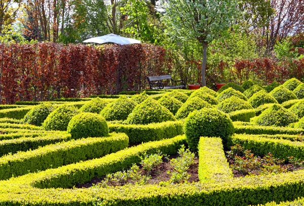 Green sunny park — Stock Photo, Image