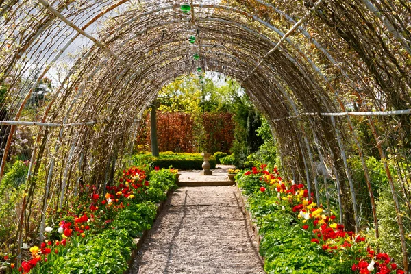 Garden tunnels — Stock Photo, Image