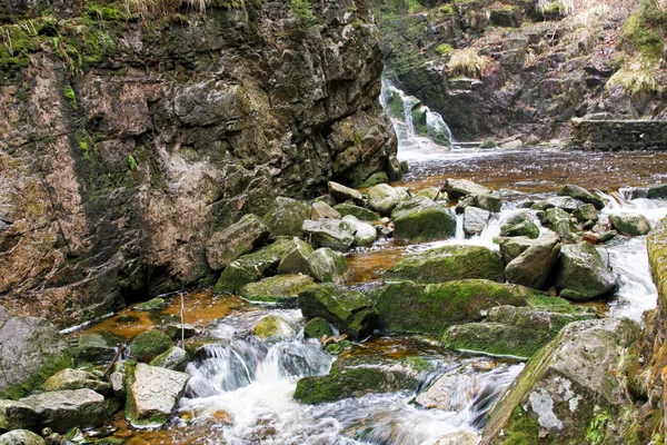 森の中の岩の上の水 — ストック写真
