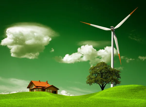 Groene natuurlijke omgeving — Stockfoto