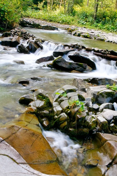 Kleiner Bach mit Wasserfällen — Stockfoto