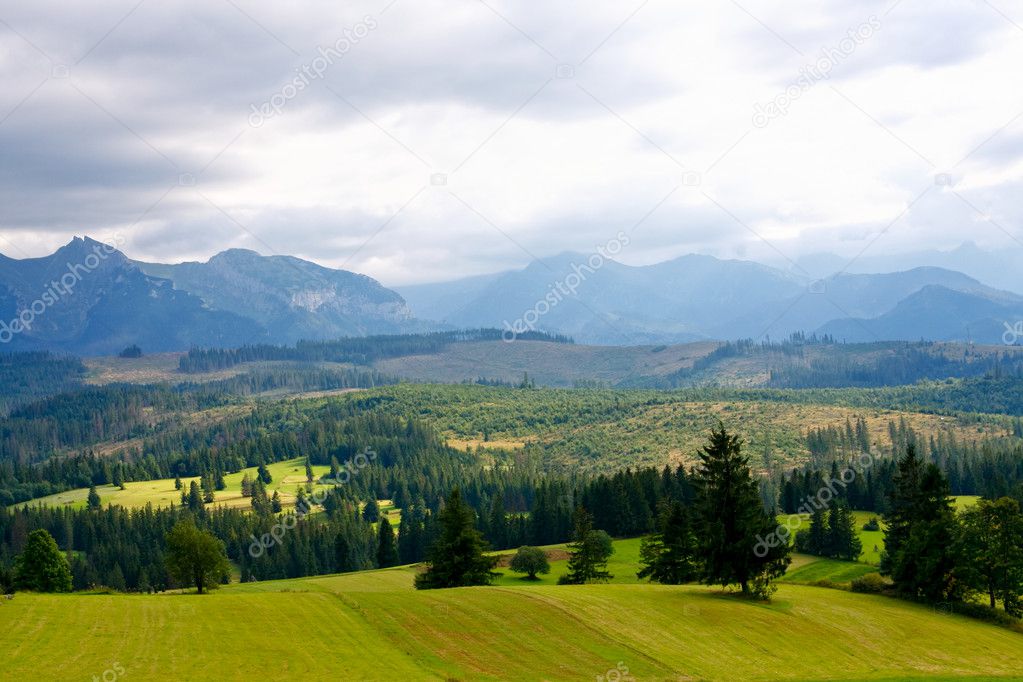 Grass field with High Tatras