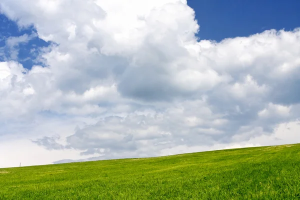 Зеленое поле и облачное небо — стоковое фото
