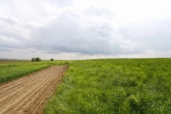 Prairie verte et terres arables — Photo