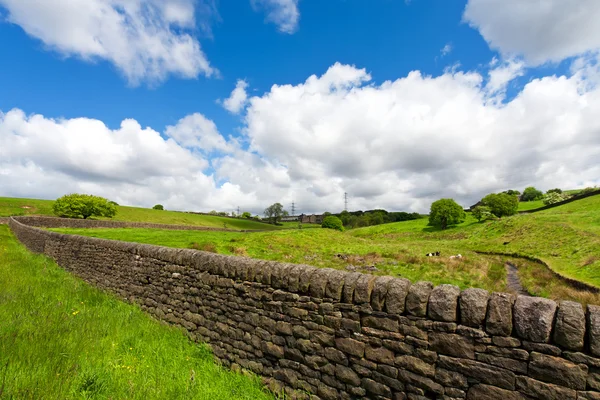 A dry stone wall in the Yorkshire — Stock Photo, Image