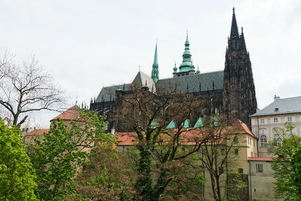 Szent Vitus katedrális Prágában — Stock Fotó