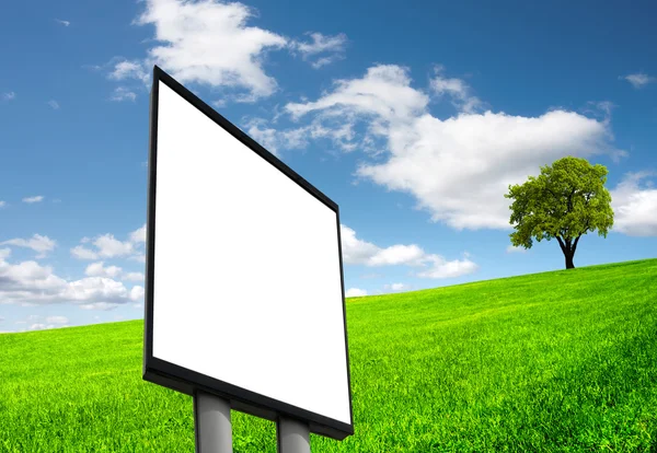 Blank sign on green field — Stock Photo, Image