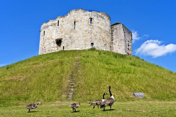 Clifford's Tower a York, Inghilterra — Foto Stock