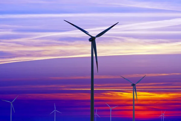 Wind farm silhouet — Stockfoto