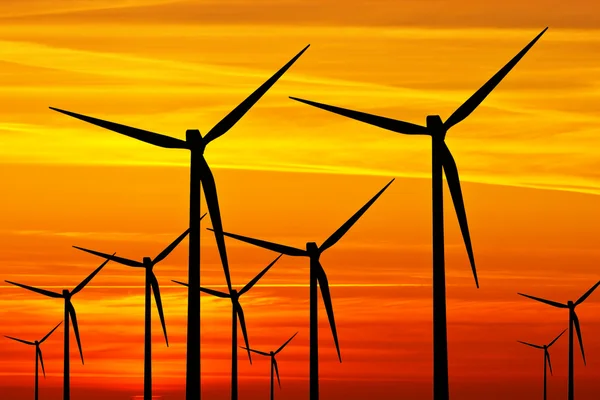 Turbine eoliche al tramonto — Foto Stock