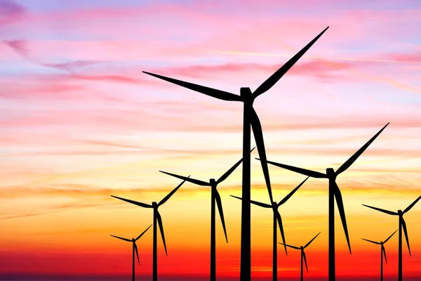 Wind farm sunset — Stock Photo, Image