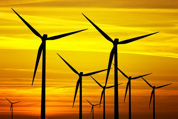 Wind turbines on golden sunset — Stock Photo, Image