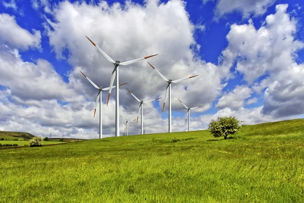 Yeşil mera ve rüzgar türbinleri çiftliği — Stok fotoğraf