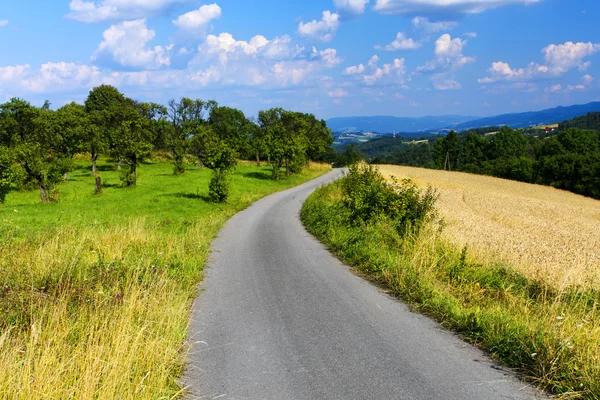 Road and summer landscape — Stock Photo, Image