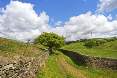 Yorkshire Dales clipart