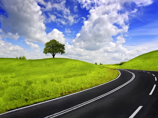 Road and green field — Stock Photo, Image
