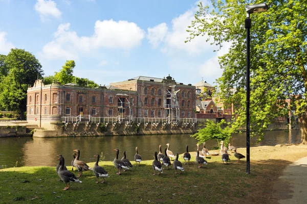 River park v Yorku, Velká Británie — Stock fotografie