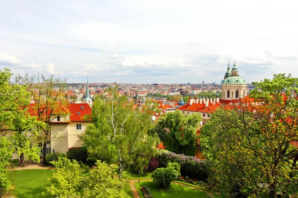 Colored picture of Prague — Stock Photo, Image