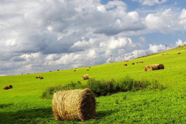 Landbouwgrond met strobalen — Stockfoto