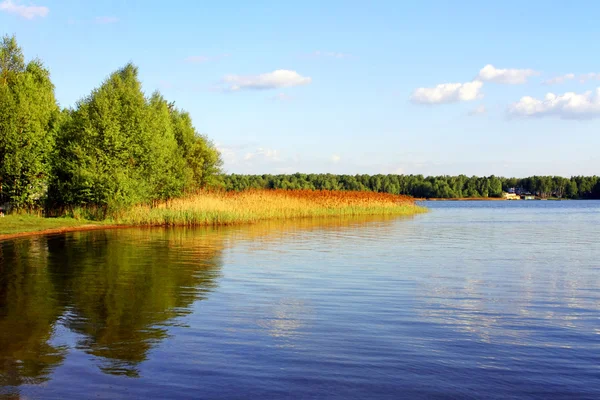 Hermoso lago de verano — Foto de Stock
