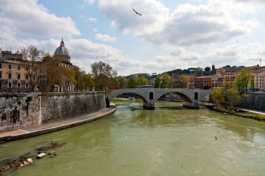 tiber nehri