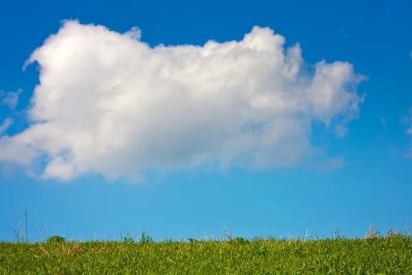 Grüne Wiese und wolkenverhangener Himmel — Stockfoto