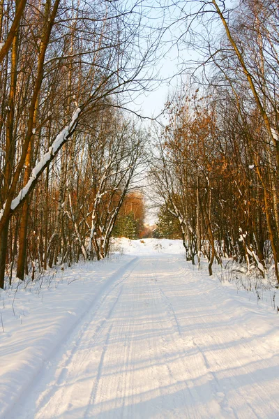 겨울 공원 — 스톡 사진