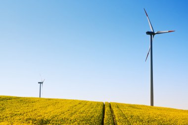 Windmill and rape field clipart