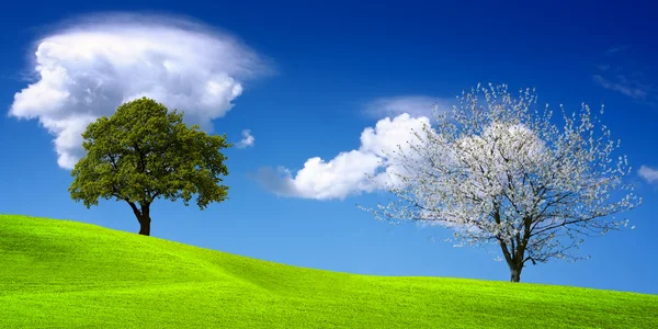 Зеленый пейзаж — стоковое фото